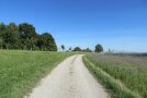 Feldweg zwischen Obstbaumwiese und Hopfenfeld