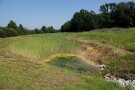 Das südliche Absetz- und Rückhaltebecken in Leustetten 