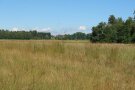 Im Haarmoos: Im Vordergrund eine Wiesenbrüterfläche, im Hintergrund Leobendorf