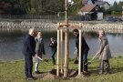 Hermann Hammerl, Monika Hirl, Johannes Becher und Birgit Böhm bei der Pflanzung der Winterlinde