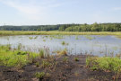 Ein Wasserrückhaltebecken in der Gläche