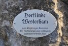 Das Schild Dorflinde Westerham am Findling neben der Linde