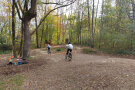 Kinder fahren auf Fahrrädern über eine im Wald angelegte Bahn.