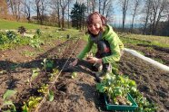 Gärtnerin beim Pflegen des Gemüsebeetes
