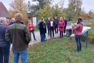 Eine Besuchergruppe auf dem Pfad des Freilandmuseums