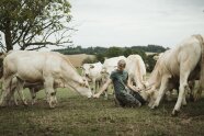 Johann Kirchfeld inmitten seiner Charolais Rinder.