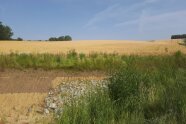Bodenbearbeitung als Klimaanpassungsmaßnahme