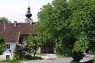 Im Vordergrund ein großer Baum an der Ortsdurchfahrt – im Hintergrund eine Kirche