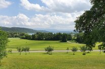 Eine Landschaft mit Streuobstwiesen im Rupertiwinkel. 