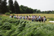 Eine Gruppe macht einen Rundgang am Peatland Science Center.