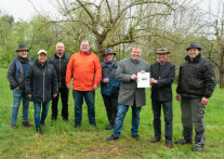 Viele Spaten stecken auf der Wiese rund um den frisch gepflanzten Baum.