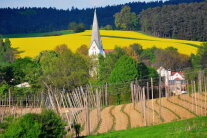 Blick auf Oberlauterbach und umliegende Hopfenacker