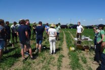 Gruppe von Menschen auf einem Feld