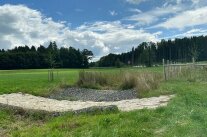 Eine Wasserrückhaltemulde in einer Wiesenlandschaft liegt vor einer frisch angepflanzten Baumreihe