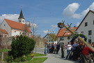 Zahlreiche richten mit Muskelkraft den Maibaum neben der Dorfstraße auf. Rechts der Straße Wohnhäuser Satteldächern; links Kirschenschiff mit Satteldach und darüber ragenden Kirchturm.