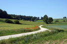 Der neu ausgebaute Kiesweg schlängelt sich durch die reich gegliederte Hügellandschaft in der Hallertau. Korn- und Mohnblumen begleiten den Wegrand.