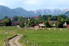 Geschwungener Schotterweg mit beidseitigem Weidezaun führt durch Weideland mit grasenden Rindern in ein Dorf. Dorfsilhouette mit vielen markanten Großbäumen und Alpenkulisse im Hintergrund.