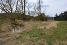 Frühlingssituation: Baumbewuchs entlang eines Bachlaufes. Daneben geht ein naturbelassener Uferstreifen in Wiese über. Zudem liegt ein von einem Biber gefällter Baum über dem Bachlauf.